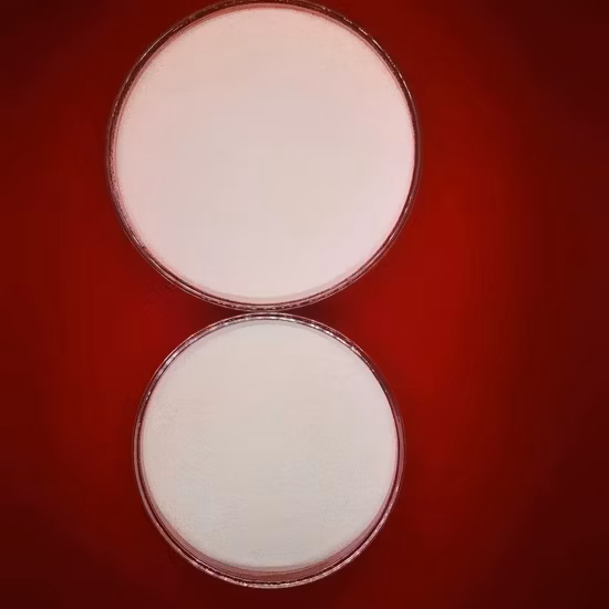 Whoesale Price Vitamin Additive Vitamin a Palmitate Powder Cws