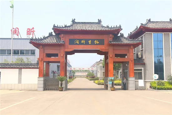 Vegan Superfood Powder Detox Probiot Drink Slimming Powder Super Greens Sachets Vitamins Probiotic Powder