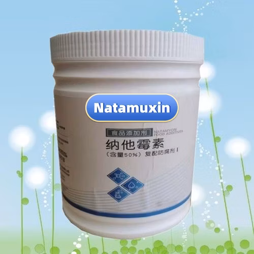 Customizable Food Grade Natamycin Preservative for Dairy Yogurt