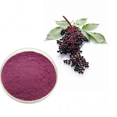 Factory Price Food Colorant Pigment Sorghum Red Powder 