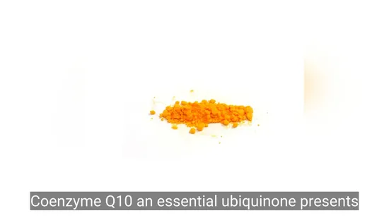 Coenzyme Q10 Powder Antioxidant for Heart Health & Energy Production, Coenzyme Q10 Vitamins and Supplements 