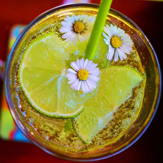 Citric Acid Monohydrate Acidity Regulator 